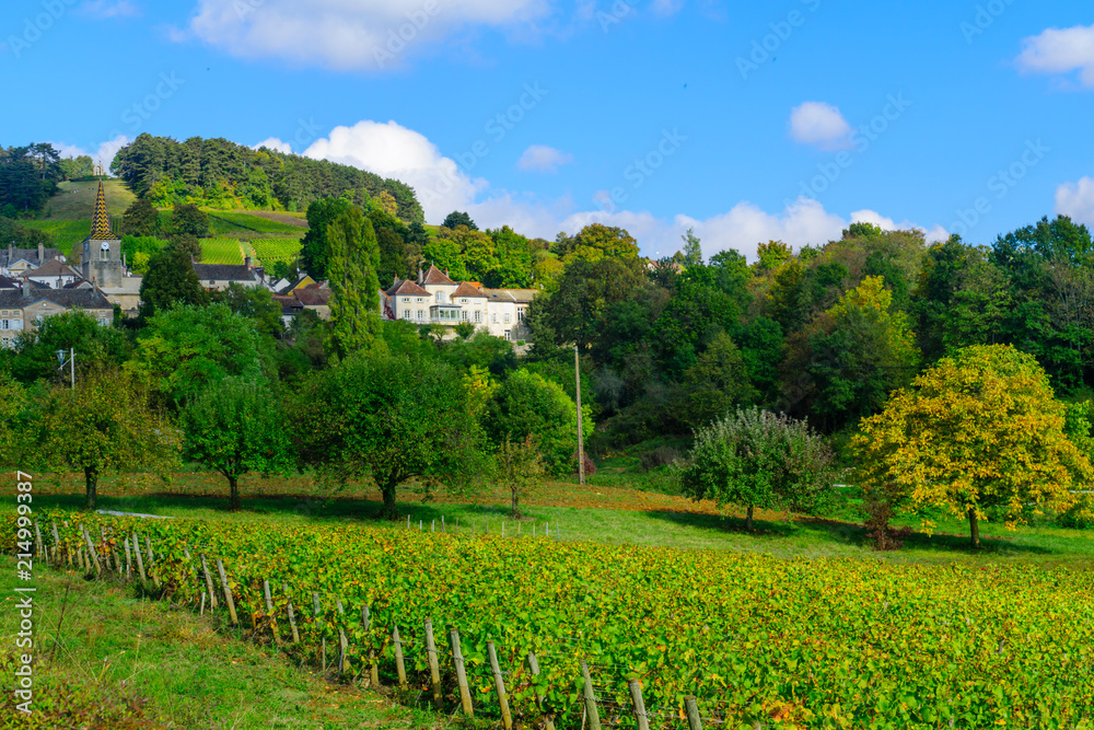 Countryside in Cote dOr, Burgundy