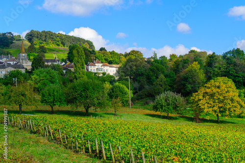Countryside in Cote dOr  Burgundy