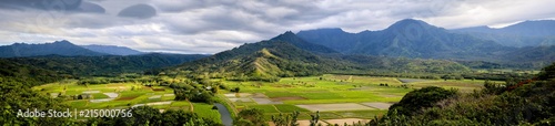 Kauai Farm