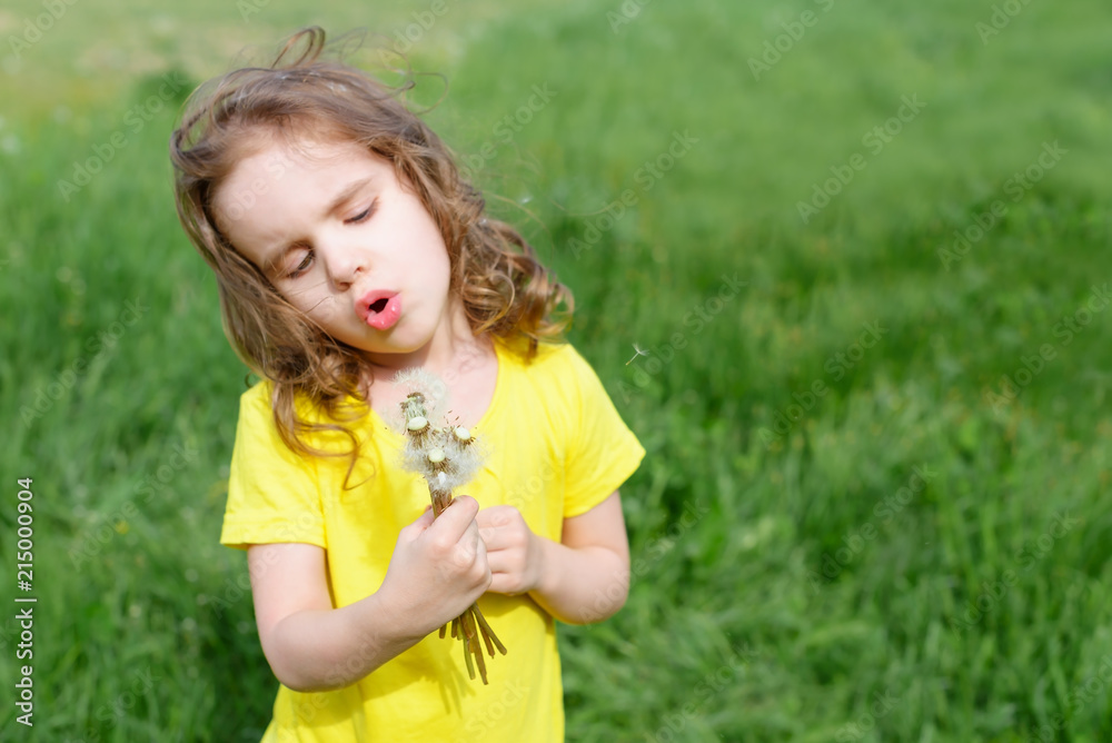 Little curly girl blowing dandelion. Little curly girl blowing dandelion.