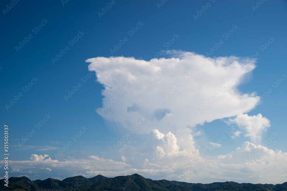 Obraz premium 真夏の入道雲の形が面白い