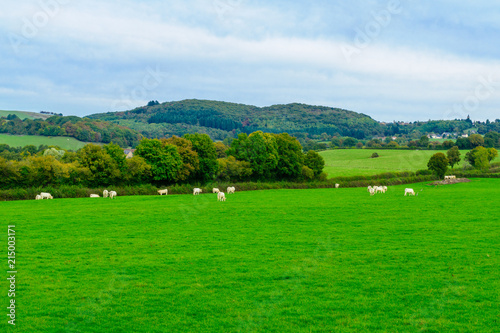 Countryside in the Morvan Mountains