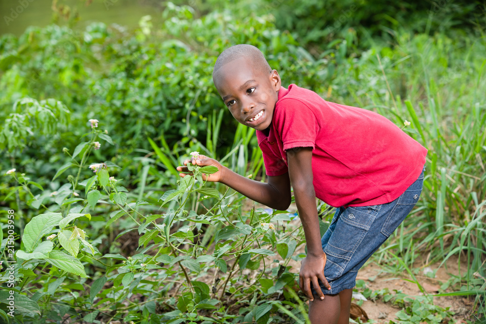 Fototapeta premium young child picks flowers in the bush