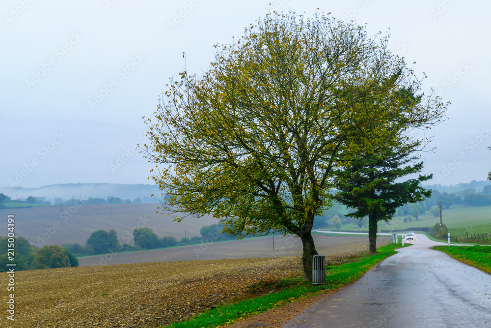 Fototapeta premium Countryside in Nievre