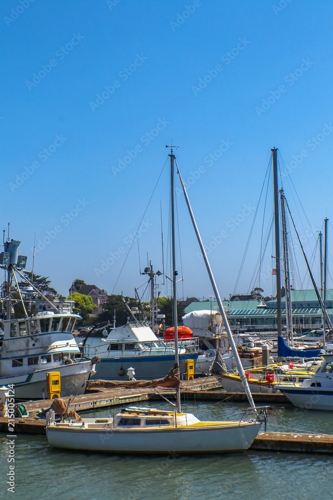 Pleasure boats and fishing boats in a marina in northern California