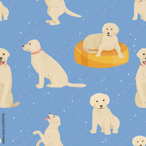 Child growth vector dog growing and aging concept from baby or puppy to aged man or old pet character illustration set of the cycle of life from childhood to elderly