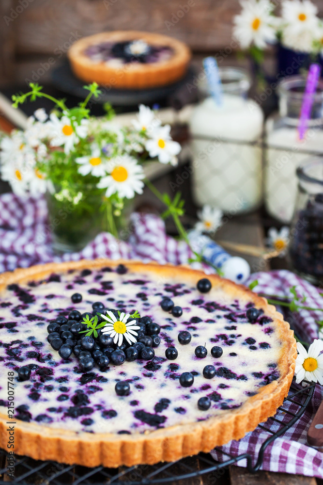 Fresh homemade creamy blueberry tart (open pie) on rustic background