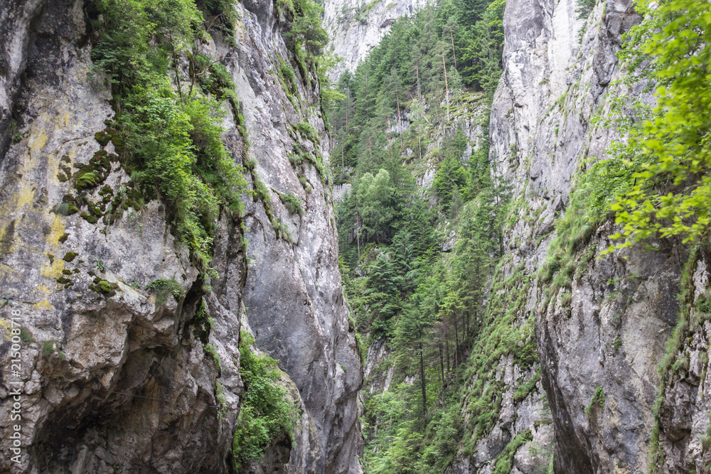 Mountain gorge Bicaz in Romanian Carpathians