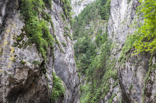 Mountain gorge Bicaz in Romanian Carpathians