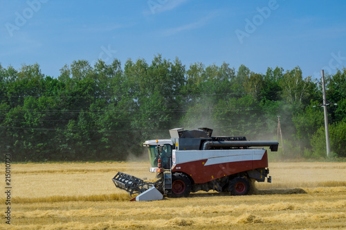 harvester on the field harvests © kurtov
