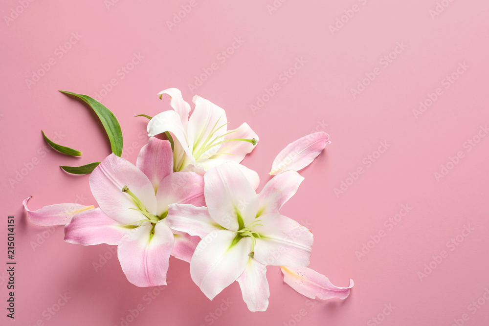 Flat lay composition with beautiful blooming lily flowers on color background Flat lay composition with beautiful blooming lily flowers on color background