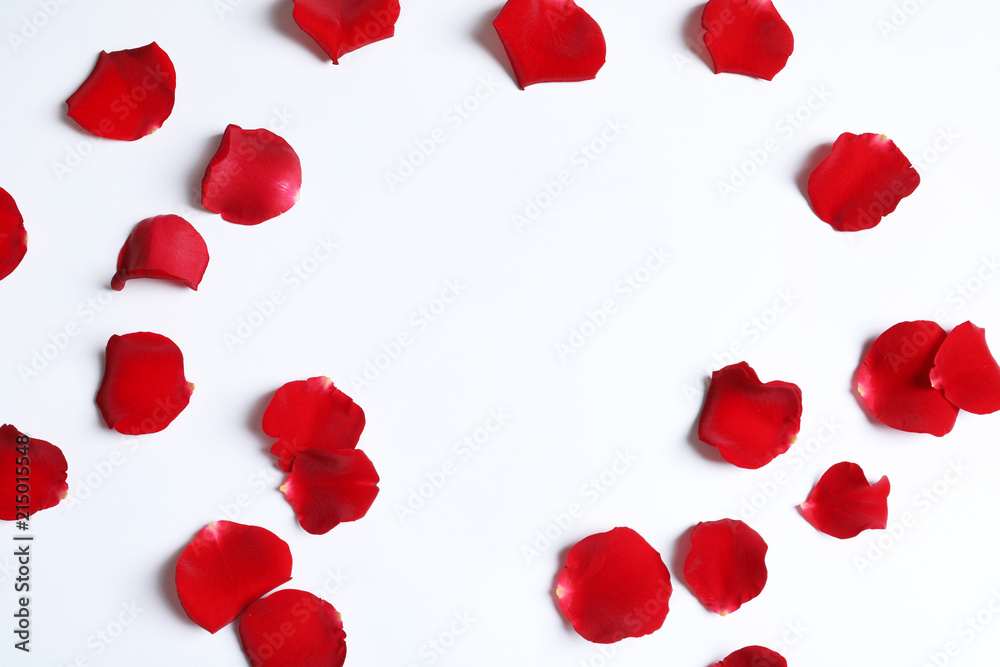 Red rose petals on white background, top view Red rose petals on white background, top view