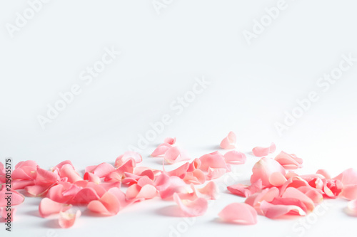 Fotografia Beautiful rose petals scattered on light background