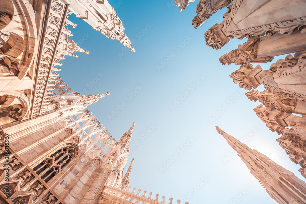 Naklejka premium widok architektury i sztuki gotyckiej na dachu katedry w Mediolanie (Duomo di Milano), Włochy