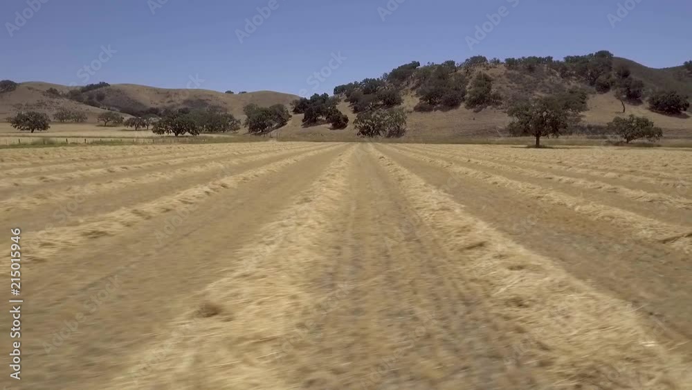 Drone flying adjacent to cut hay rows Drone flying adjacent to cut hay rows