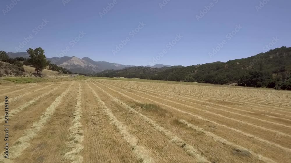 rotating aerial shot above cut hay field displaying grass mountain rotating aerial shot above cut hay field displaying grass mountain