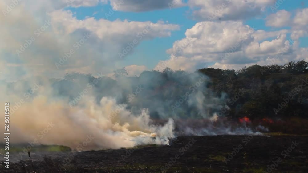 Smoke swirls in Zambia bush fire with a smokey sky backdrop. Smoke swirls in Zambia bush fire with a smokey sky backdrop.