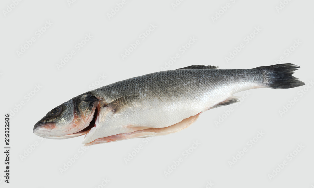  raw sea bass isolated on the white background