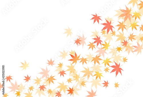 紅葉　秋　葉　背景