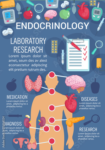 Endocrinology poster with human endocrine system