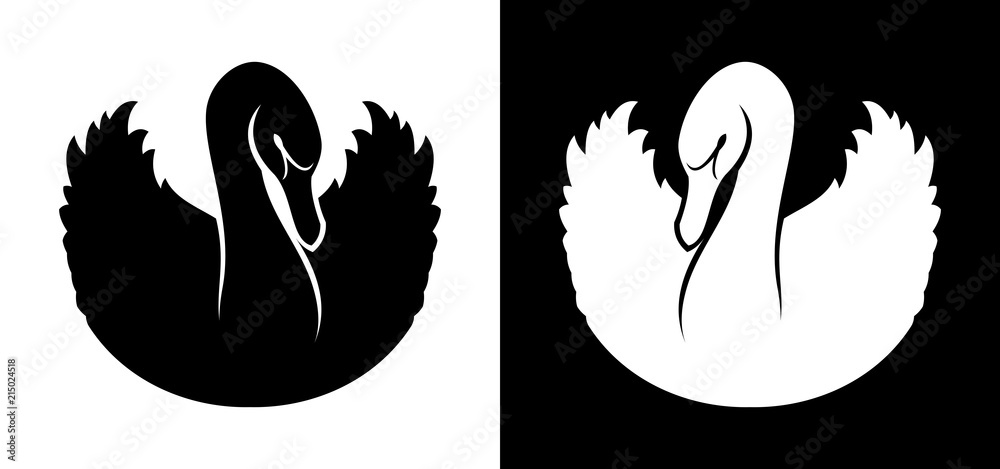 Fotografie Black and white swans