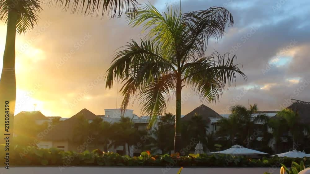 Stunning still shot of a palm tree soaking up the late afternoon sunset in the Dominican Republic.