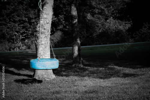 Tire swing