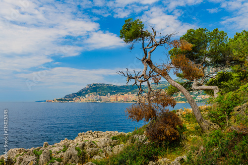 Wonderful view from Cape Martin to Monaco. Cote d'Azur. France