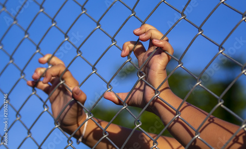 Image of Catch hand with cage was imprisoned make Feeling no freedom or lack of freedom