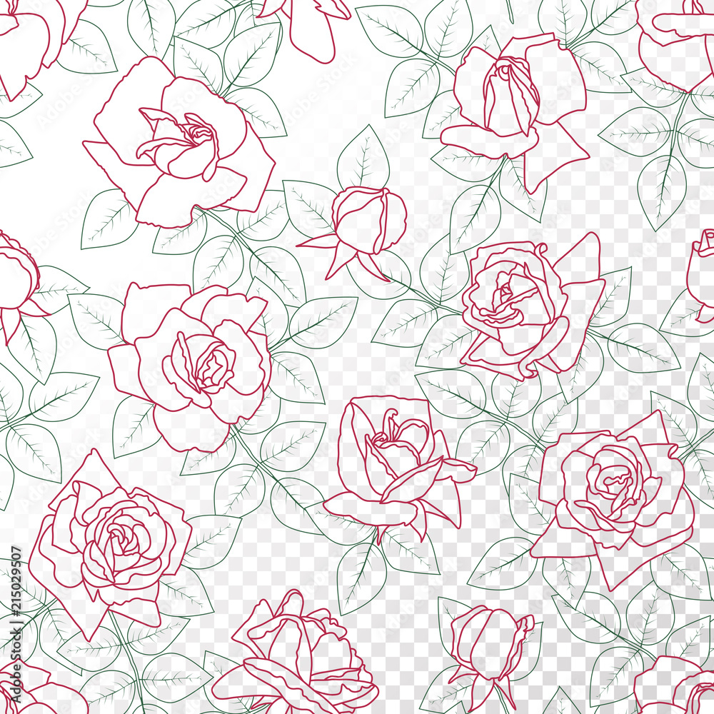 Outline roses, buds and leaves. Floral seamless pattern on isolated  background.