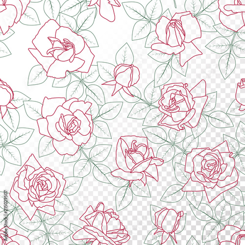Outline roses  buds and leaves. Floral seamless pattern on isolated  background.
