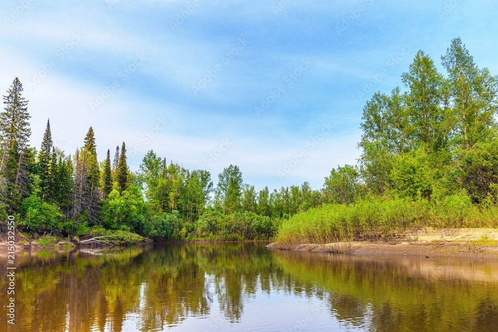 Beautiful summer landscape with Siberian nature. River Chet in the Tomsk region.