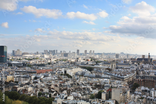 View of Paris from a height. France.	