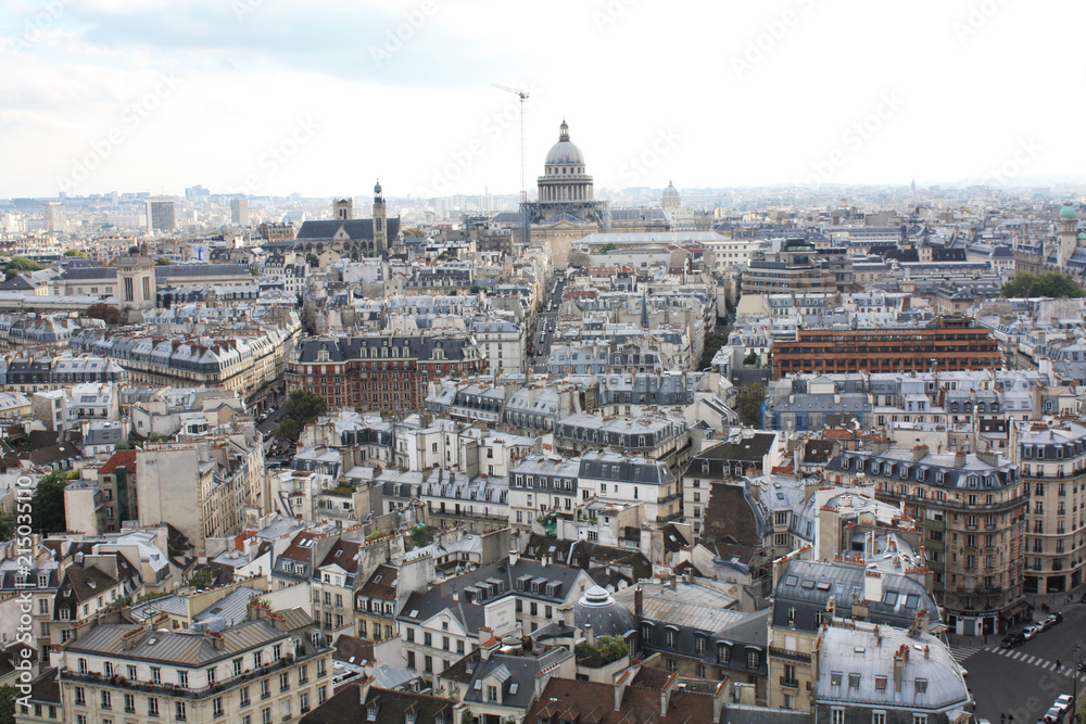 View of Paris from a height. France.	