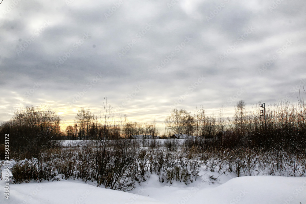 Gray sky with clouds, black trees and white snow arround Gray sky with clouds, black trees and white snow arround
