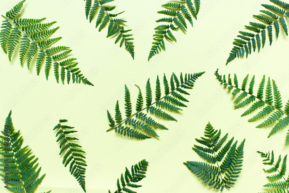 Pattern with forest ferns. Flat lay with ferns on yellow background.
