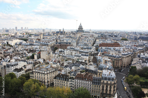 View of Paris from a height. France.  © Malira