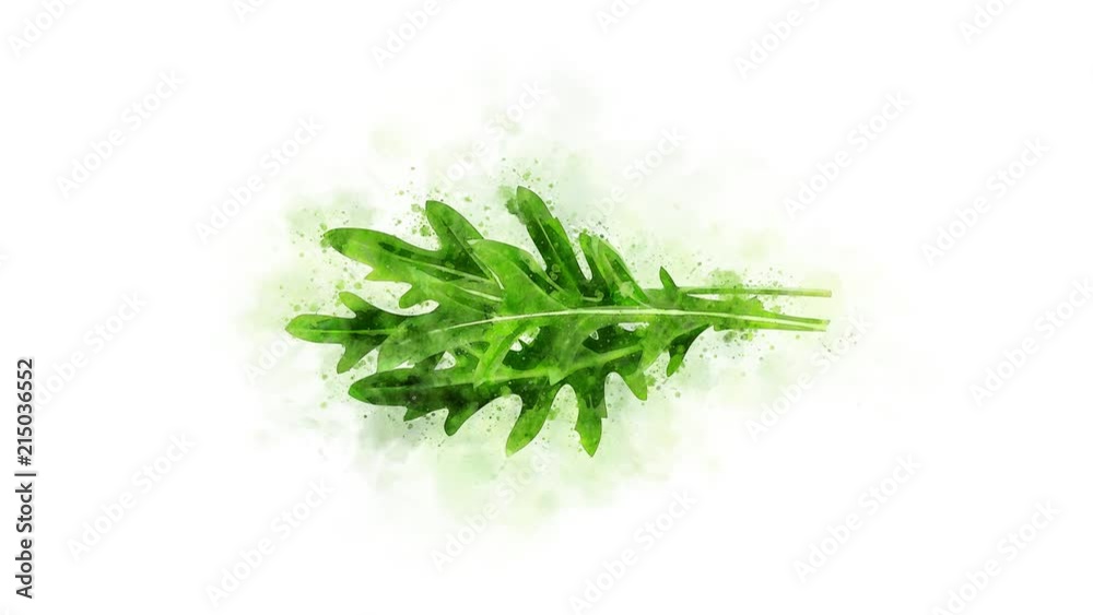 A set of Arugula animation for video editing A set of Arugula animation for video editing
