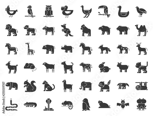 Big set of safari, arctic, forest animal and bird such as tiger, seal, camel, sloth, kangaroo, frog, pelican, parrot, toucan icon, solid icon