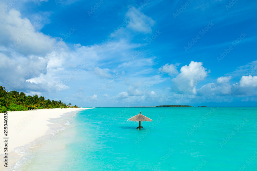 tropical beach in Maldives with few palm trees and blue lagoon tropical beach in Maldives with few palm trees and blue lagoon