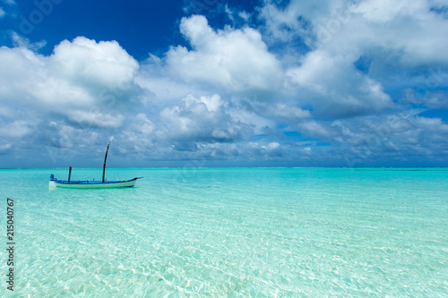 tropical beach in Maldives with few palm trees and blue lagoon © Pakhnyushchyy