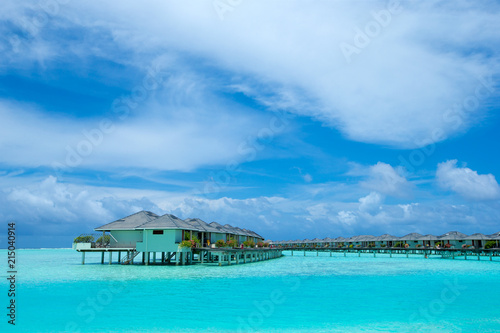 Fototapeta Naklejka Na Ścianę i Meble -  tropical beach in Maldives with few palm trees and blue lagoon