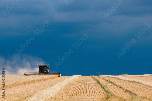 Landwirtschaft , Gerstenernte beginnt früher als gewöhnlich © Steve