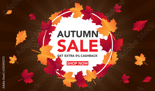 Autumn sale banner template with leaves, fall leaves for shopping sale. banner design. Poster, card, label, web banner. Vector illustration