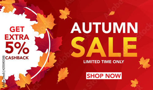 Autumn sale banner template with leaves, fall leaves for shopping sale. banner design. Poster, card, label, web banner. Vector illustration