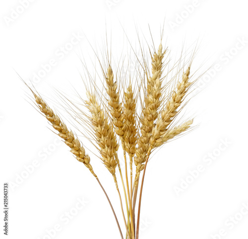 bunch of golden wheat ears on white isolated background
