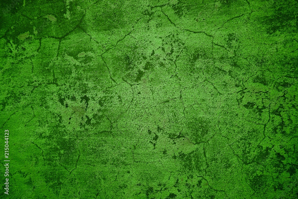 Obraz premium Verwitterte Steinwand grün