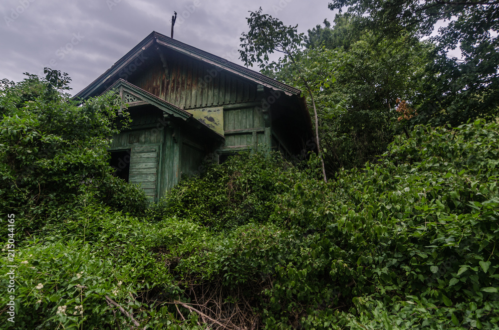 verwachsenes gruenes haus