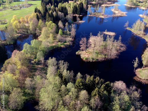 Sunny  lake landscape with trees in spring, aerial view