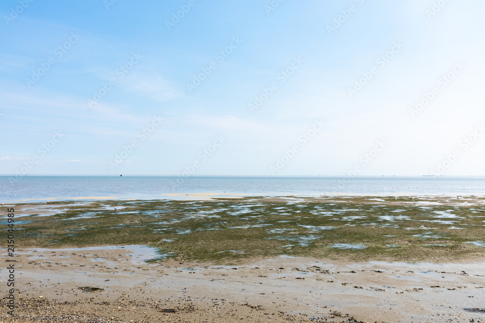 north sea beach with blue sky and clouds north sea beach with blue sky and clouds